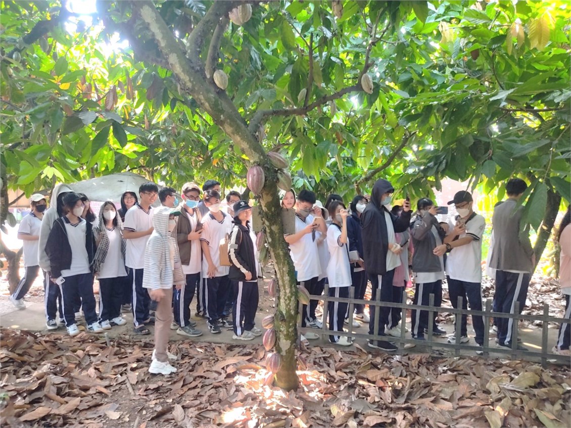 Nhấn vào ảnh để phóng to
