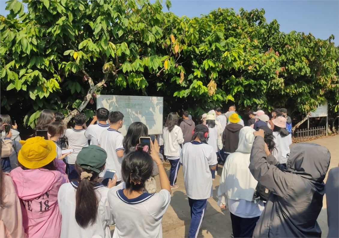 Nhấn vào ảnh để phóng to