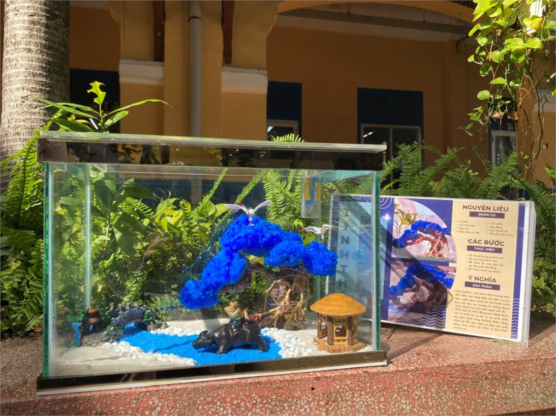 Nhấn vào ảnh để phóng to
